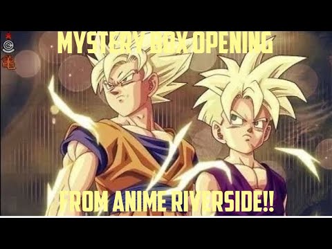 Dragon Ball Mystery Box Opening!!