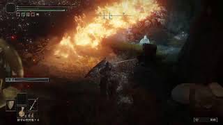 目的を忘れ左に蛇行走法しながらELDEN RING [PS5]