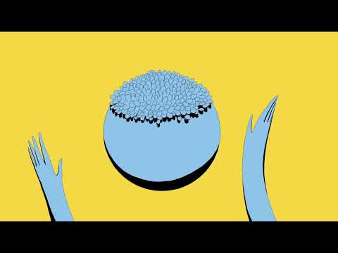 'Ahead' trailer (Ala Nunu Leszyńska, UK/Portugal)