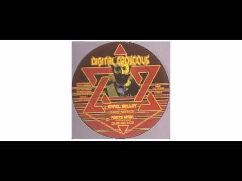 Errol Bellot / Reuben Master / Roots Hitek - Take Notice - 10" - Digital Conscious