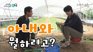 비싼 쪽파로 오늘은 아내와 뭘 하려고 ?