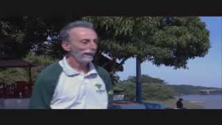 Brasil Além: Parque Nacional de Ilha Grande - Jornal Futura - Canal Futura