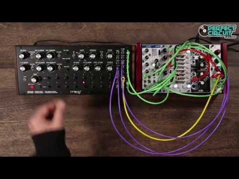 Moog DFAM Semi-Modular Analog Drum Synthesizer image 5