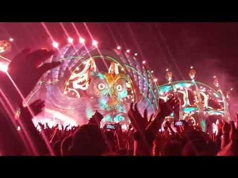 Vini Vici edc 2022 kinect field
