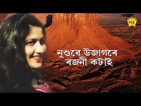 TUMI SAALEI JANA | ASSAMESE LYRICAL VIDEO SONG | JONKEY BORTHAKUR | SISHU