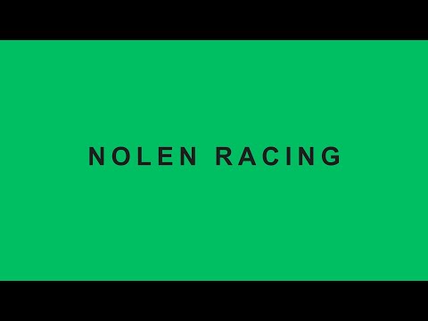 Lot 37 All Too Hard x Lady of Prospect colt - Nolen Racing