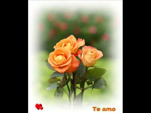 Te Llegara una Rosa Cada Dia Amor Mio♥Mi Damaris♥
