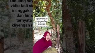 Download lagu Keceblokan Nongko #emak #emaknok #emakemakgaul #nangka mp3