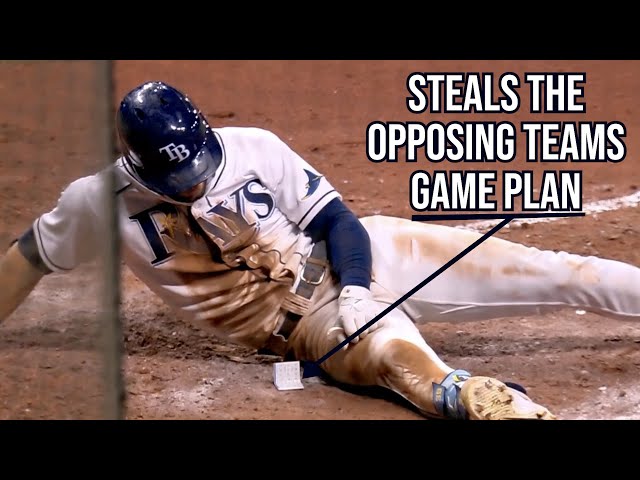The Jays throw at Kiermaier because he stole their secrets, a breakdown