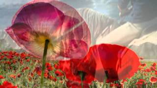 OLTRE LE RIVE- ZUCCHERO.mpg