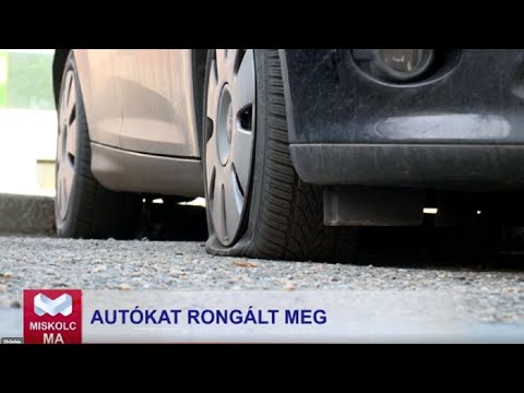 Videó előnézet