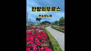 Download lagu 한방의부르스 전승희노래(이민이)꾀꼬리목소리 🧨🧨🧨 mp3