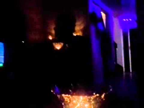 Formuloita kattomassa :)