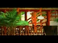 Mihai Traistariu - Puerto Rico - Official Video 