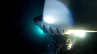 preview picture of video 'Hawaii Manta Night Dive'