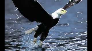 Daniel Rodriguez - The Water is Wide