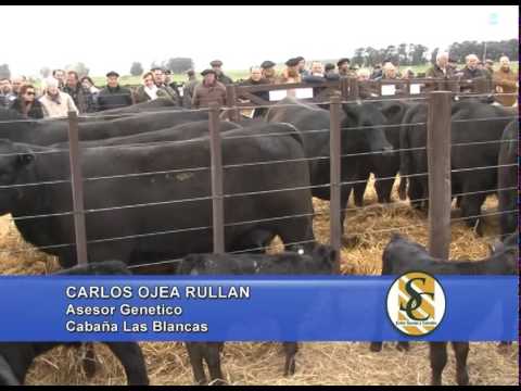 Cabaña Las Blancas - Nota Carlos Ojea Rullan - Chillar - 04/09/2014