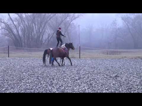 Ungarische Post Hero Merkel