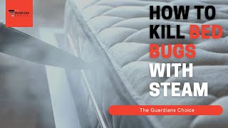 Bed Bug Steamer: How to Kill Bed Bugs With Steam | The Guardians Choice