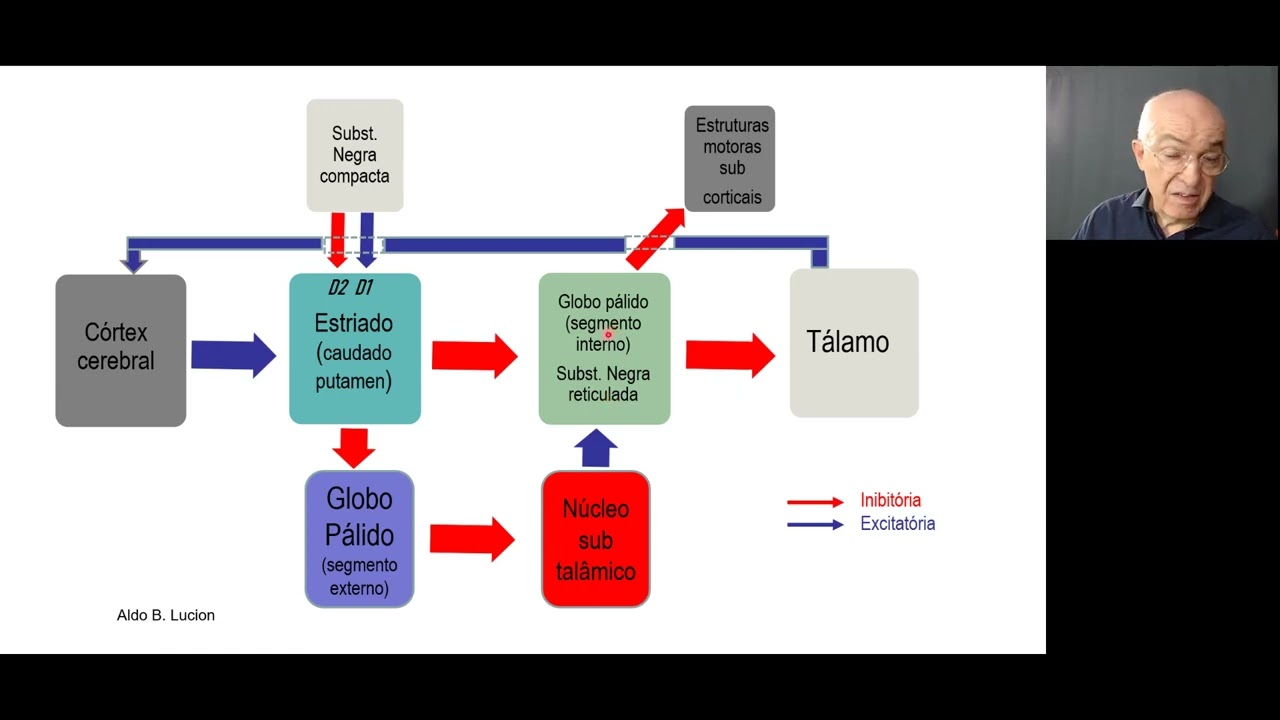 Nucleos da Base aula 2 via direta e indireta(2)
