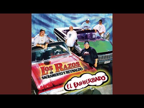 Cuando Anduve Como Perro