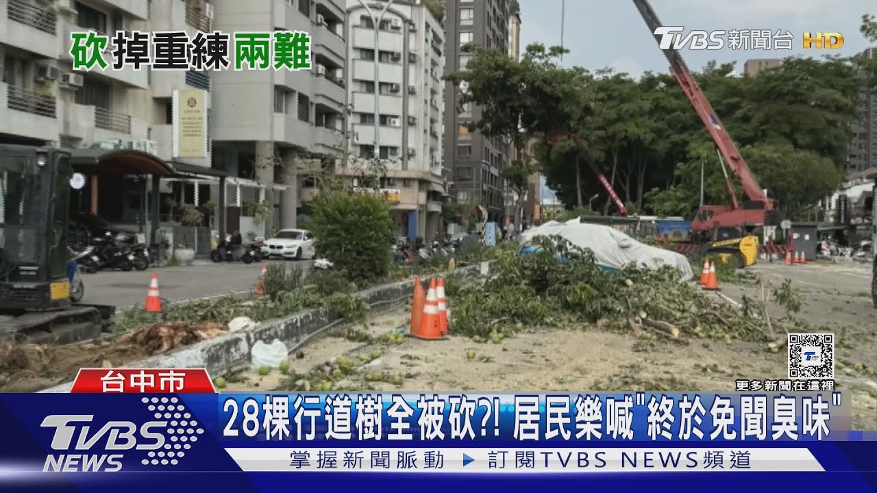 28棵行道樹全被砍?!居民樂喊「終於免聞臭味」