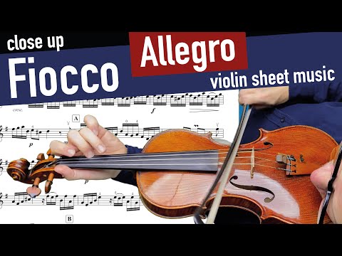 Fiocco Allegro •CLOSE UP•