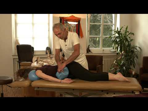 12 - Brustwirbelsäule