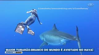 Miniatura do vídeo
