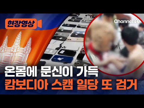 캄보디아 로맨스스캠 조직 무더기 검거…94명 송치