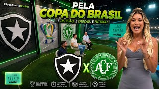 RENATA FAN E CIA/ BOTAFOGO X CHAPECOENSE PELA 5° FASE DA COPA DO BRASIL. 