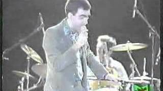 Elio e le storie tese - Cassonetto differenziato per il frutto del peccato - Live Video