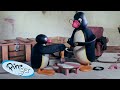 Pingu Finishes The Job Pingu Official Channel Cartoons For Kids