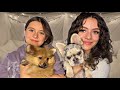 PUPPY SLEEPOVER W Xitlali