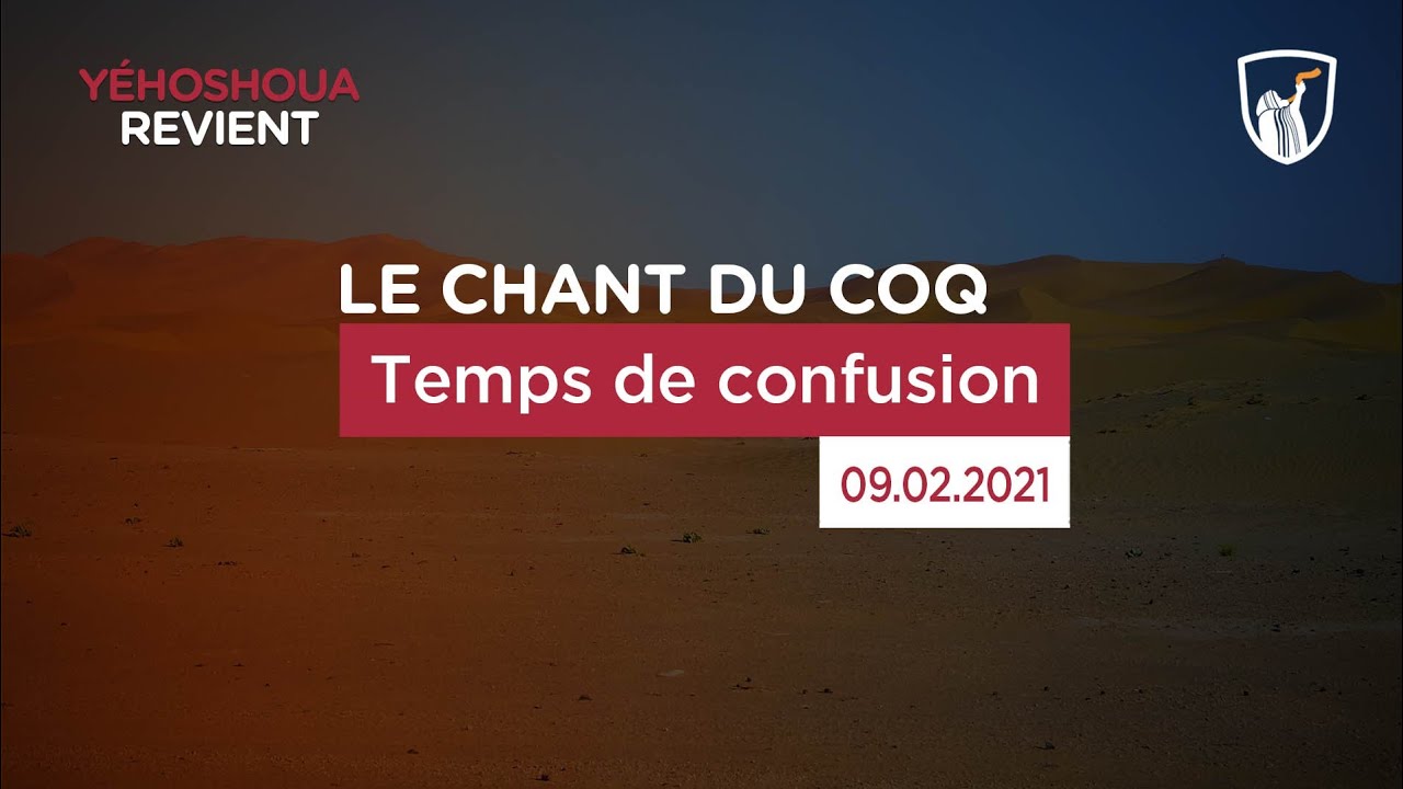 Thumbnail of video: Temps de confusion