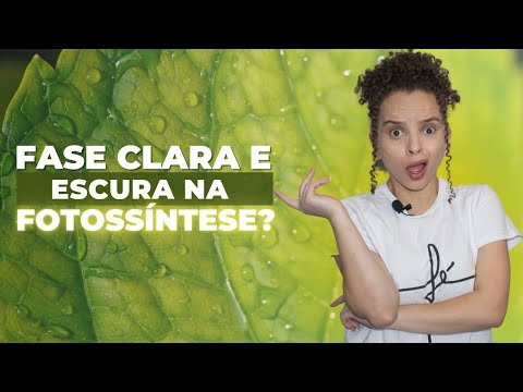 O processo da fotossíntese | Bioquímica