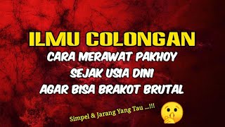 Download lagu ILMU C0L0NGAN DARI FARM BESAR 🤫|| CARA MERAWAT PAKHOY AGAR BISA BRAKOT BRUT4L SEJAK USI4 DINI || 🏆🐓💥 mp3