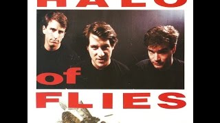 Halo of Flies - Death of a Fly b/w Spit It Out, There Ain't No Hell - 45 Single