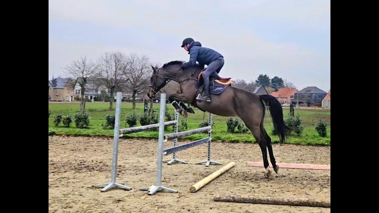 Hivolet Van Beek ☆ (COCONUT GROVE XX  x INDOCTRO) video 2