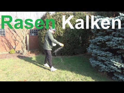 Lime the lawn - Why and when to lime the lawn - Lawn lime Lime for the lawn