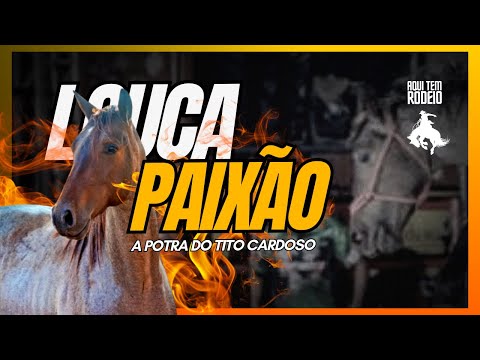 LOUCA PAIXÃO A POTRA INVENCÍVEL