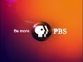 PBS 2009
