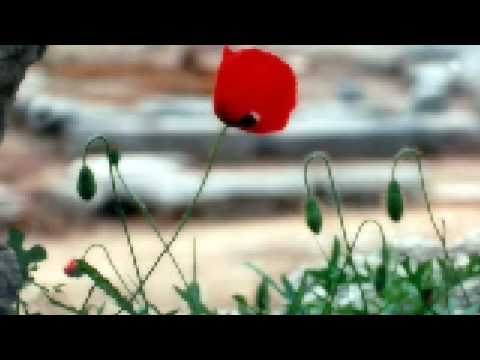 download lagu mp3 mp4 Ave Maria Harry Secombe, download lagu Ave Maria Harry Secombe gratis, unduh video klip Ave Maria Harry Secombe