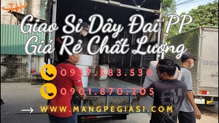 Giao sỉ dây đai nhựa PP đóng pallet giá rẻ – Nguồn hàng lớn, chất lượng cao!