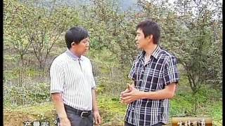 Sichuan pepper from Hanyuan