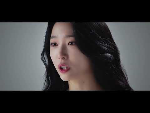비디오 6
