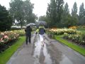 Jumping In Puddles