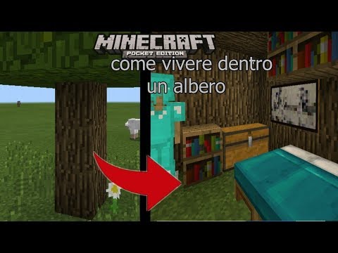 come vivere dentro un albero !!!!!