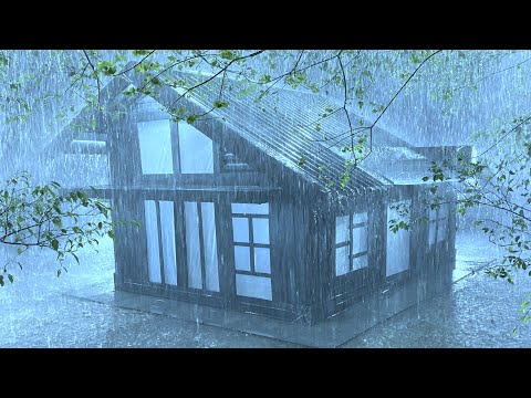 Vídeo YouTube Eb78JxAwb-c