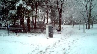 Chicago Winter Wonderland February 2012